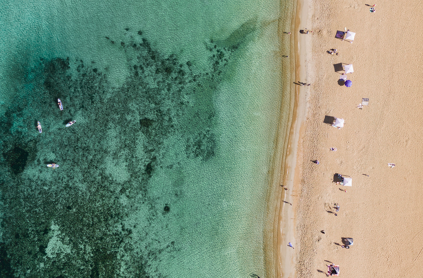 Mordialloc Beach print