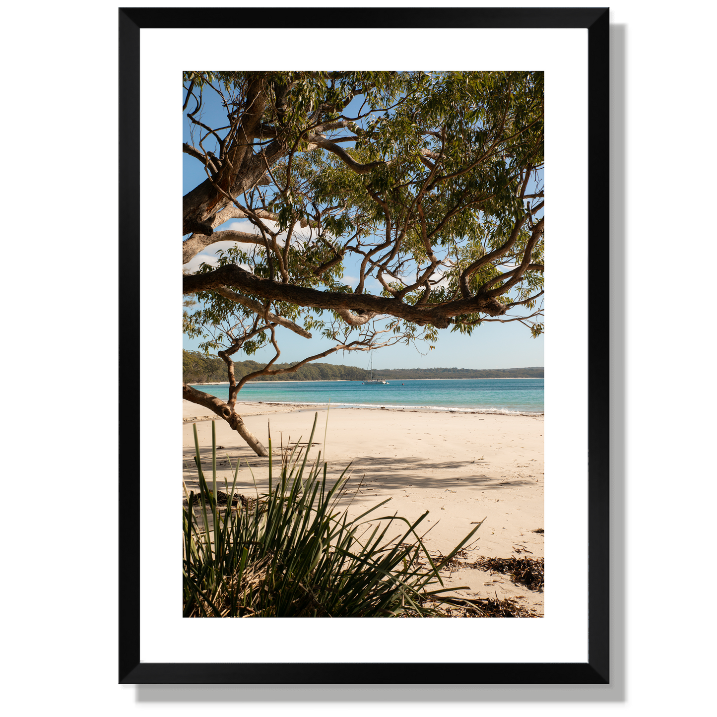 Under the Gums Jervis Bay Print