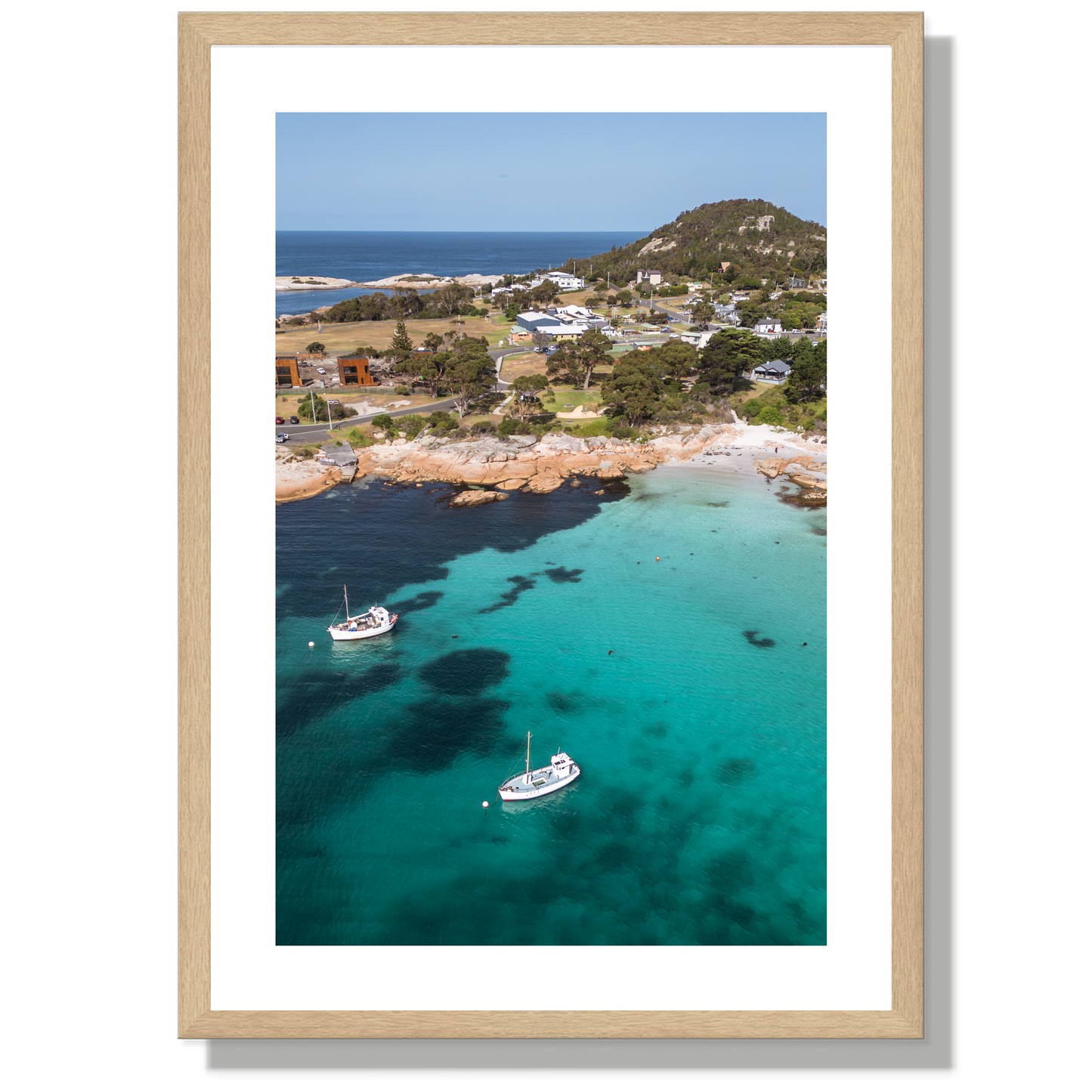 Bicheno Portrait Print