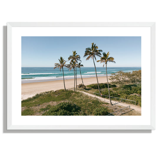 Main Beach palms wide Print