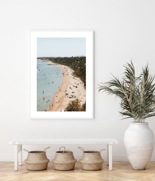 Red luff Sandringham, Victoria