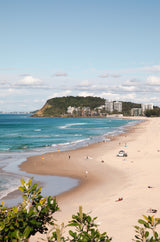 North Burleigh portrait
