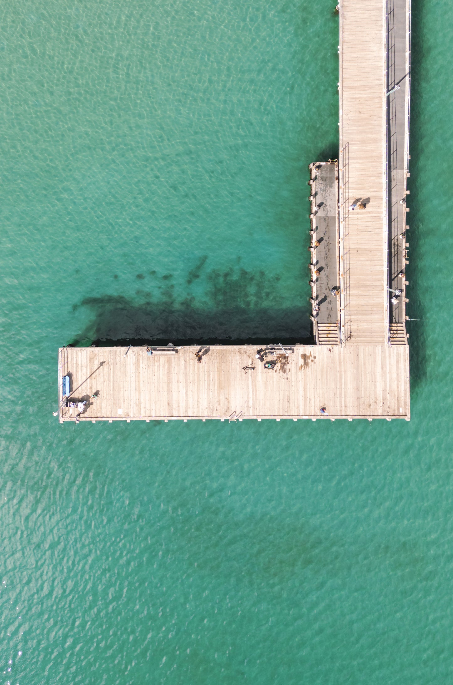 Top-down aerial print of the L-shaped end of Frankston Pier on Port Phillip Bay – coastal wall art