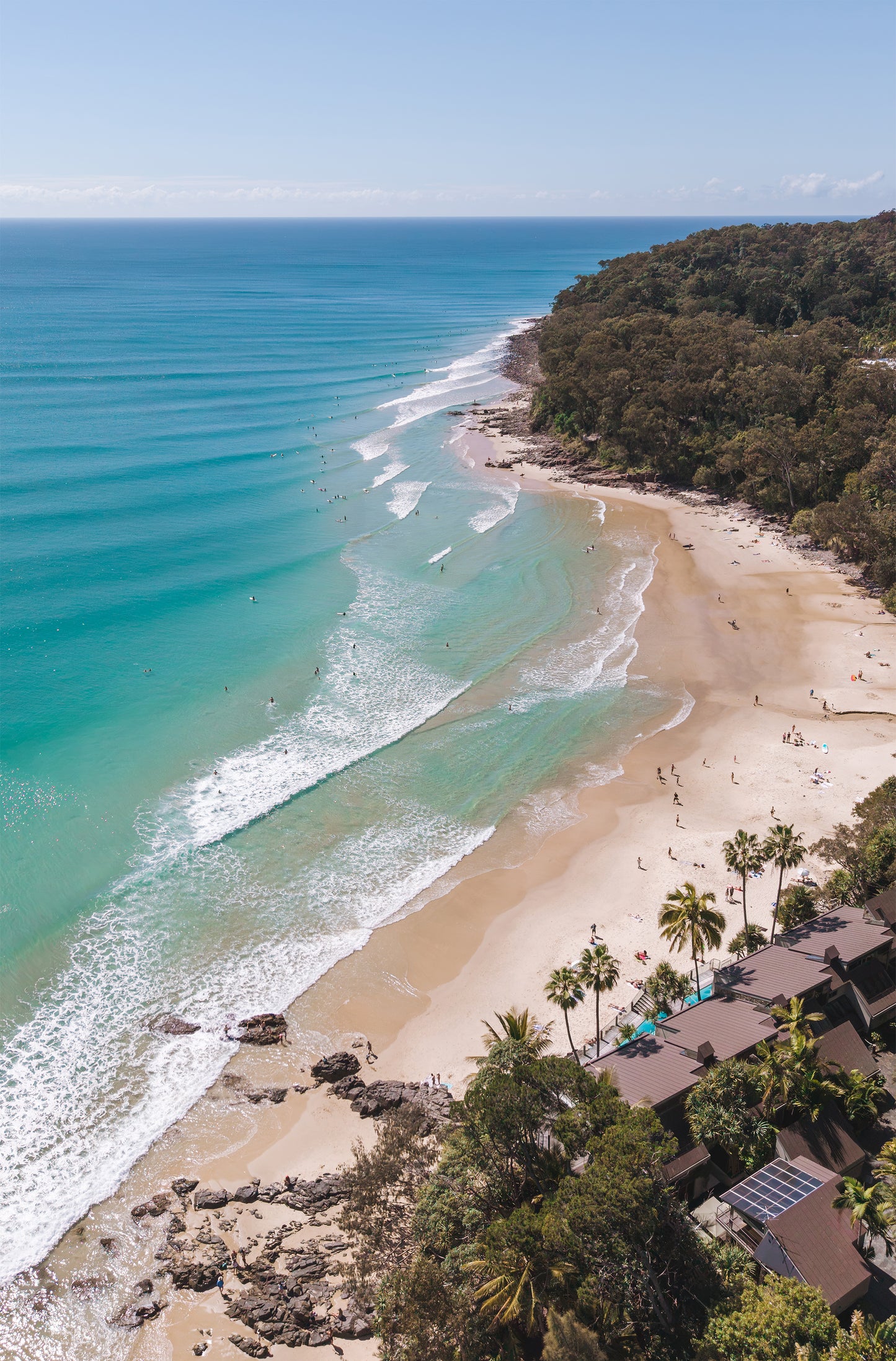 Portrait aerial view of Little Cove at Noosa Heads, Sunshine Coast, with rock pools, palm trees, resort rooftops and surfers along the National Park point.