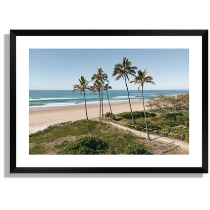 Main Beach palms wide Print