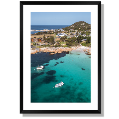 Bicheno Portrait Print