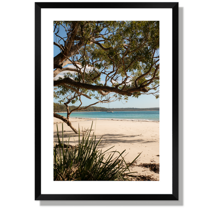 Under the Gums Jervis Bay Print