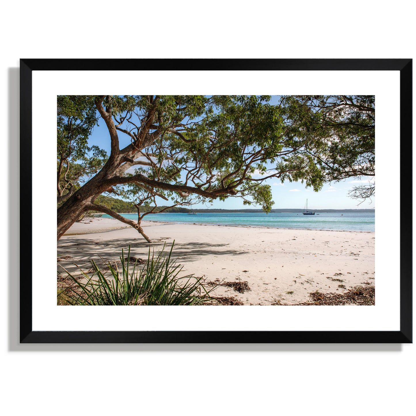 Jervis Bay Sails Print