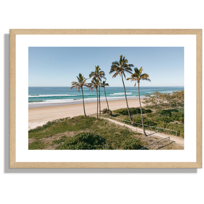 Main Beach palms wide Print