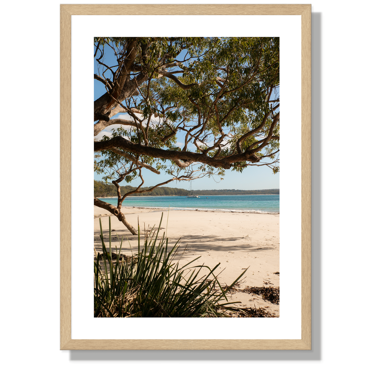 Under the Gums Jervis Bay Print