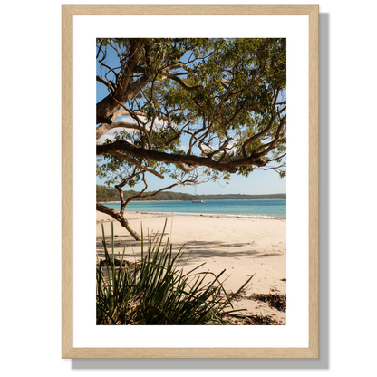 Under the Gums Jervis Bay Print