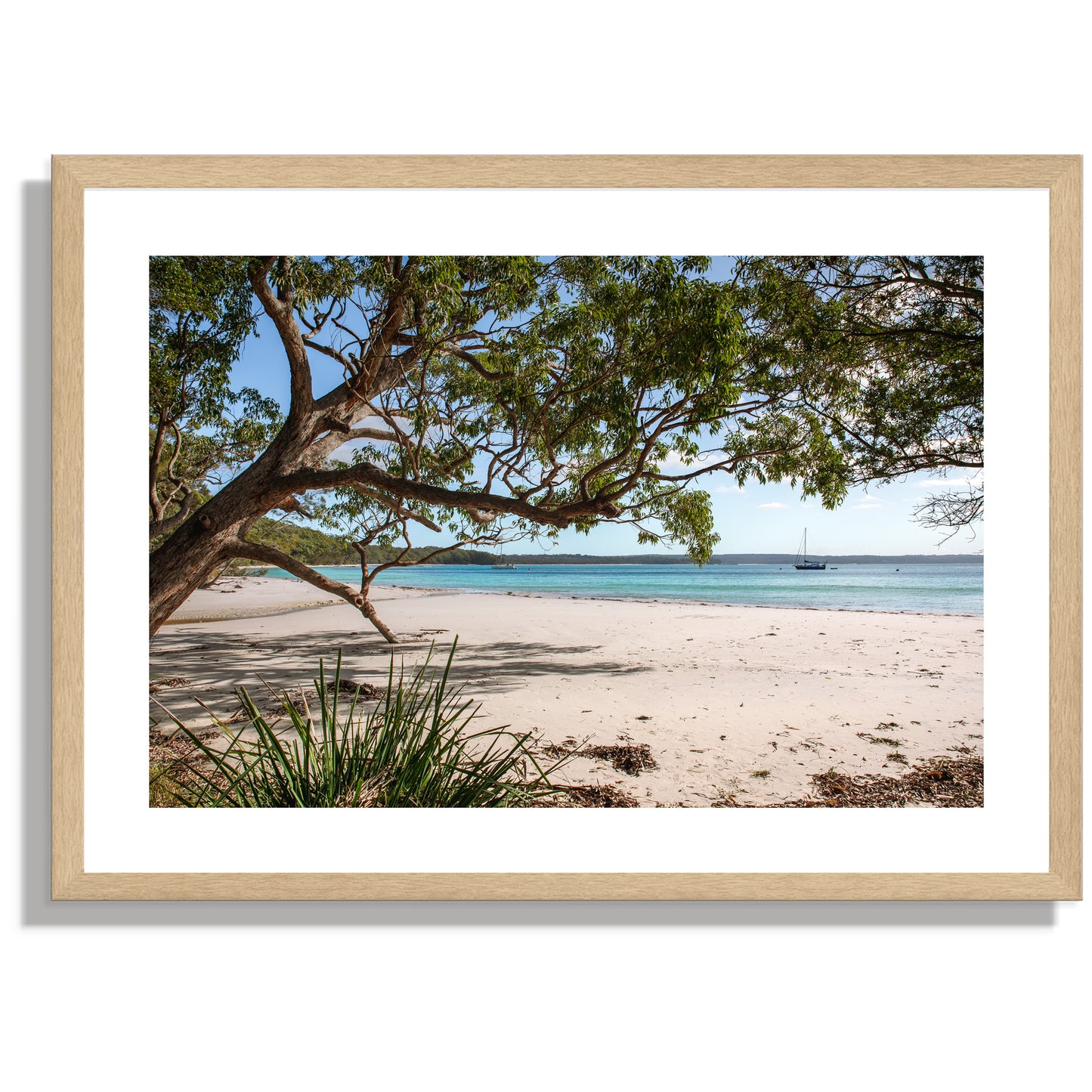 Jervis Bay Sails Print