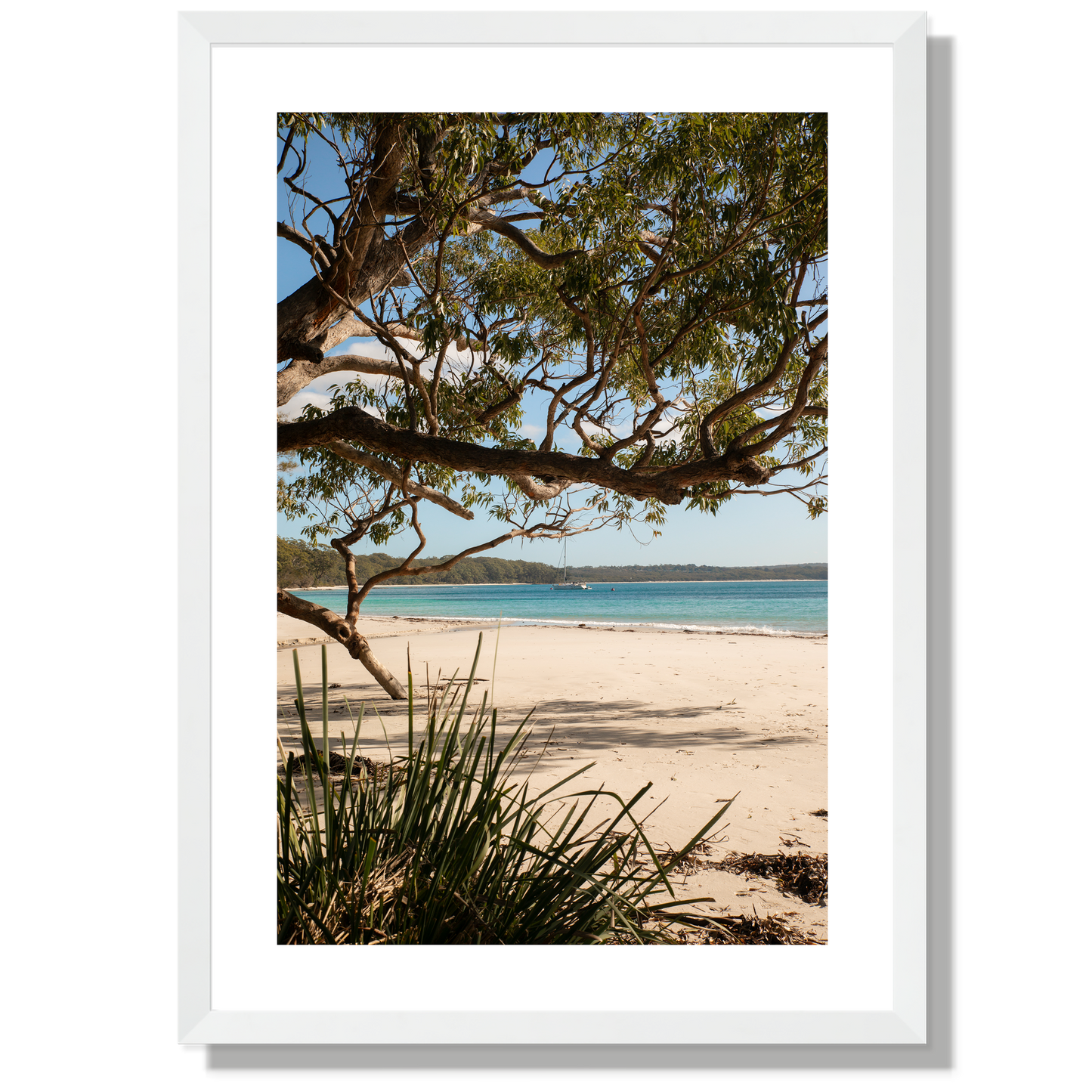 Under the Gums Jervis Bay Print