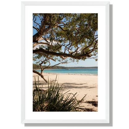 Under the Gums Jervis Bay Print