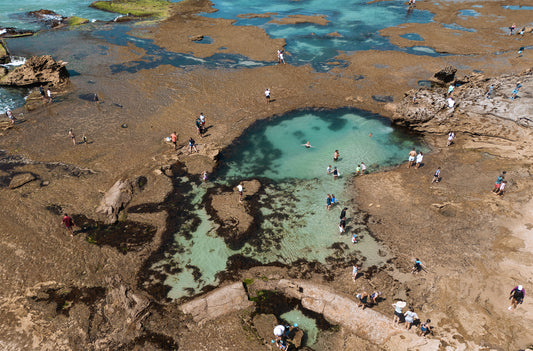 Sorrento, Victoria Sorrento Rock pools Print