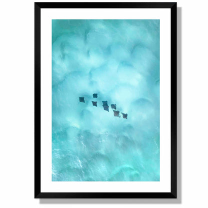 Rays Print